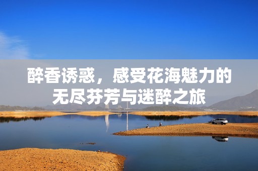 醉香诱惑，感受花海魅力的无尽芬芳与迷醉之旅