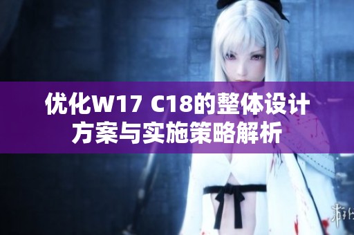 优化W17 C18的整体设计方案与实施策略解析