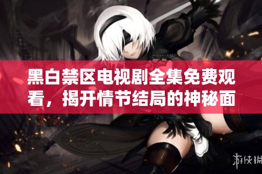 黑白禁区电视剧全集免费观看，揭开情节结局的神秘面纱