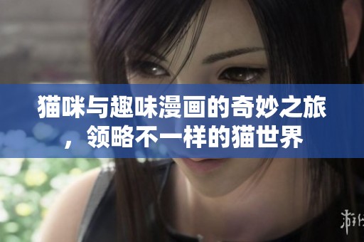 猫咪与趣味漫画的奇妙之旅，领略不一样的猫世界