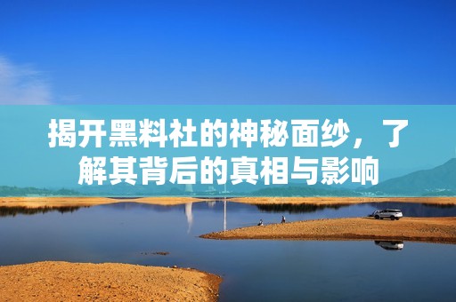 揭开黑料社的神秘面纱，了解其背后的真相与影响
