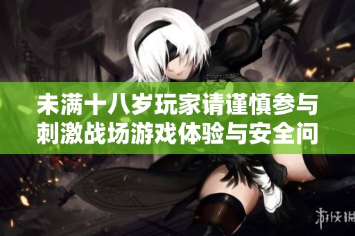 未满十八岁玩家请谨慎参与刺激战场游戏体验与安全问题探讨