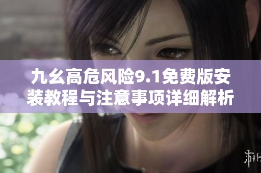 九幺高危风险9.1免费版安装教程与注意事项详细解析
