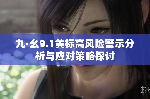 九·幺9.1黄标高风险警示分析与应对策略探讨