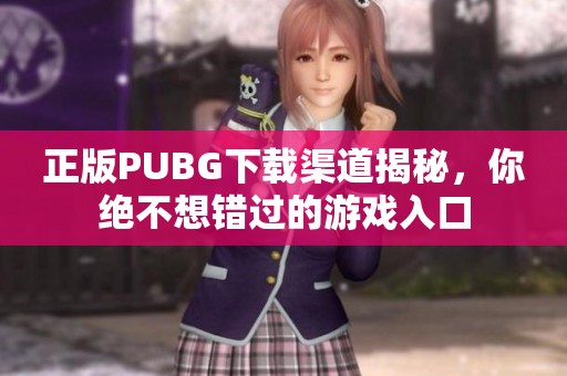 正版PUBG下载渠道揭秘，你绝不想错过的游戏入口