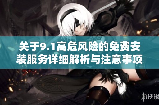 关于9.1高危风险的免费安装服务详细解析与注意事项