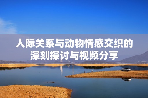 人际关系与动物情感交织的深刻探讨与视频分享