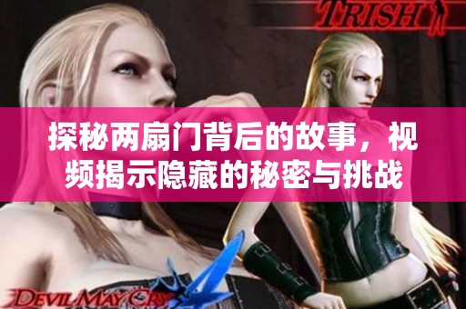 探秘两扇门背后的故事，视频揭示隐藏的秘密与挑战