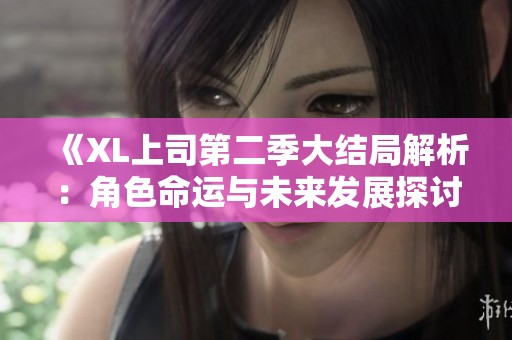 《XL上司第二季大结局解析：角色命运与未来发展探讨》