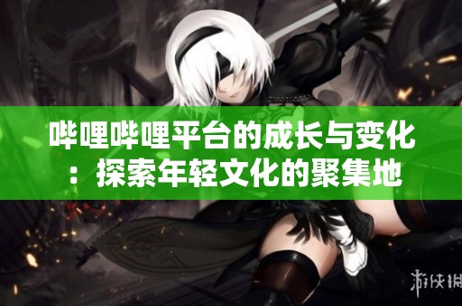 哔哩哔哩平台的成长与变化：探索年轻文化的聚集地