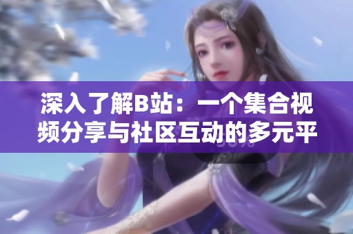 深入了解B站：一个集合视频分享与社区互动的多元平台