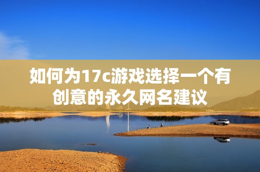 如何为17c游戏选择一个有创意的永久网名建议