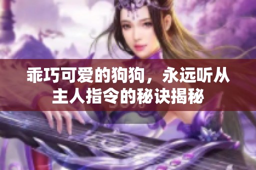 乖巧可爱的狗狗，永远听从主人指令的秘诀揭秘