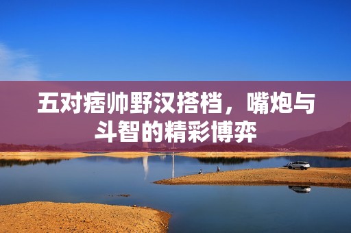 五对痞帅野汉搭档，嘴炮与斗智的精彩博弈