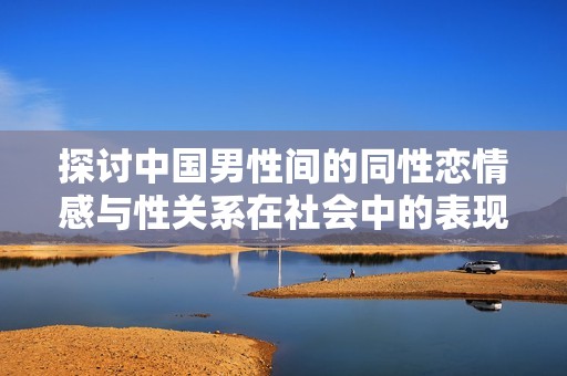 探讨中国男性间的同性恋情感与性关系在社会中的表现