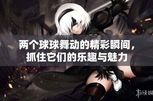 两个球球舞动的精彩瞬间，抓住它们的乐趣与魅力