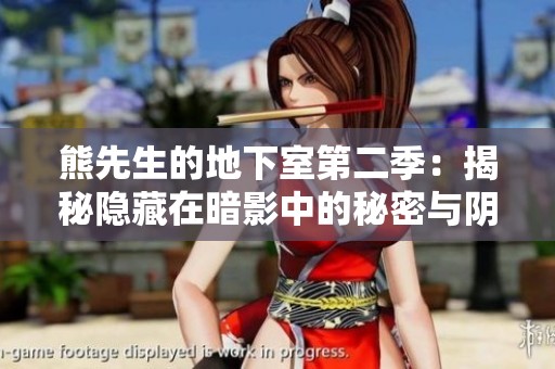 熊先生的地下室第二季：揭秘隐藏在暗影中的秘密与阴谋