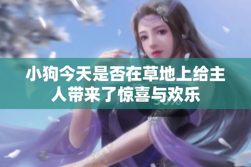 小狗今天是否在草地上给主人带来了惊喜与欢乐