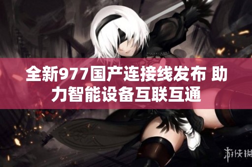 全新977国产连接线发布 助力智能设备互联互通