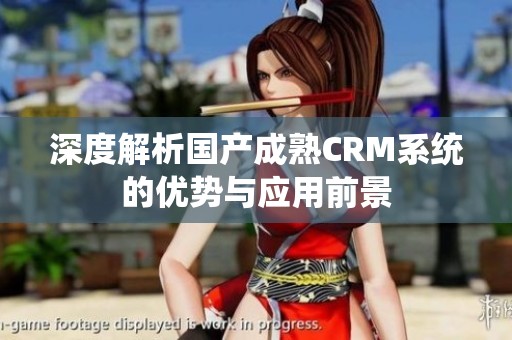 深度解析国产成熟CRM系统的优势与应用前景