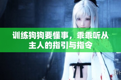 训练狗狗要懂事，乖乖听从主人的指引与指令