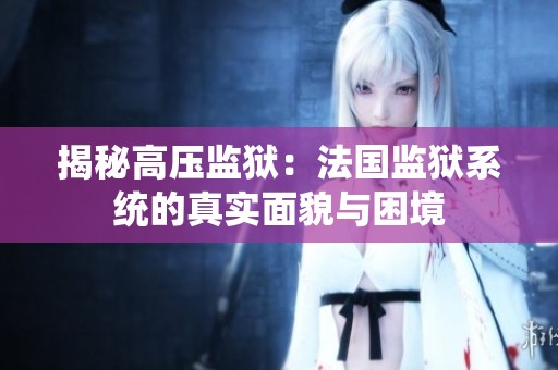揭秘高压监狱：法国监狱系统的真实面貌与困境