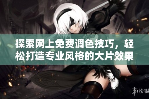 探索网上免费调色技巧，轻松打造专业风格的大片效果
