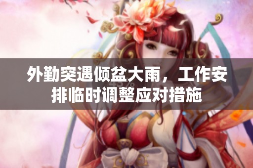 外勤突遇倾盆大雨，工作安排临时调整应对措施