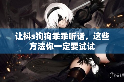 让抖s狗狗乖乖听话，这些方法你一定要试试