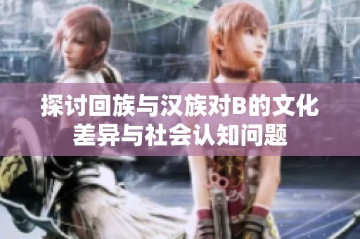 探讨回族与汉族对B的文化差异与社会认知问题