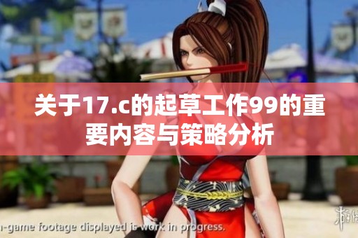 关于17.c的起草工作99的重要内容与策略分析