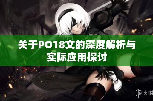 关于PO18文的深度解析与实际应用探讨