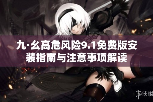 九·幺高危风险9.1免费版安装指南与注意事项解读