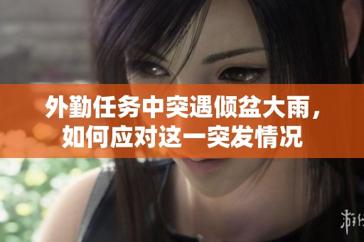 外勤任务中突遇倾盆大雨，如何应对这一突发情况
