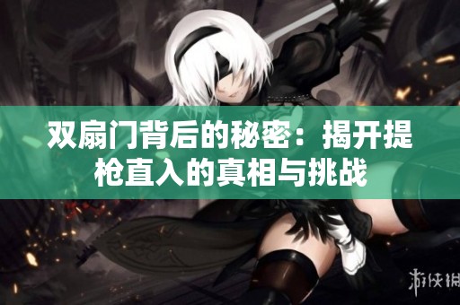 双扇门背后的秘密：揭开提枪直入的真相与挑战