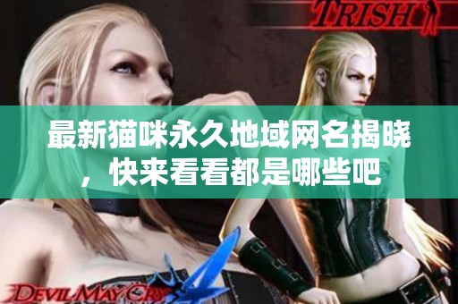 最新猫咪永久地域网名揭晓，快来看看都是哪些吧