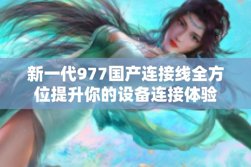 新一代977国产连接线全方位提升你的设备连接体验