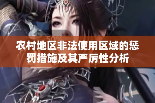 农村地区非法使用区域的惩罚措施及其严厉性分析