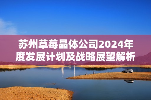 苏州草莓晶体公司2024年度发展计划及战略展望解析