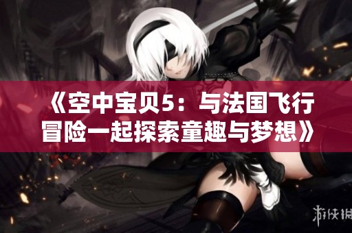 《空中宝贝5：与法国飞行冒险一起探索童趣与梦想》