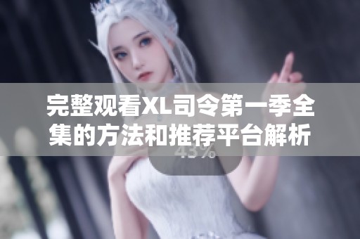 完整观看XL司令第一季全集的方法和推荐平台解析