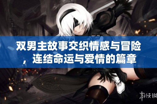 双男主故事交织情感与冒险，连结命运与爱情的篇章