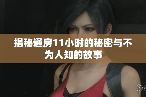揭秘通房11小时的秘密与不为人知的故事