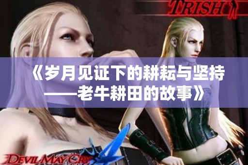 《岁月见证下的耕耘与坚持——老牛耕田的故事》
