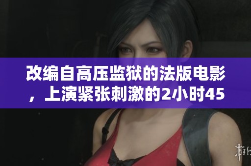 改编自高压监狱的法版电影，上演紧张刺激的2小时45分时光