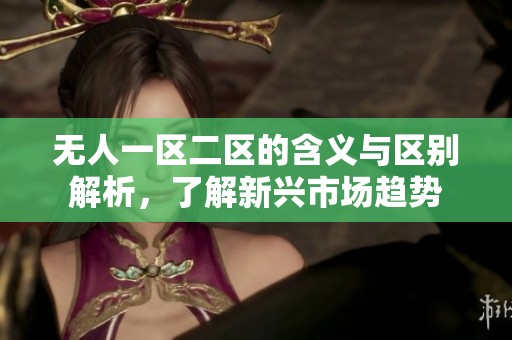 无人一区二区的含义与区别解析，了解新兴市场趋势