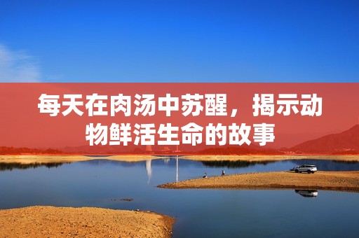 每天在肉汤中苏醒，揭示动物鲜活生命的故事