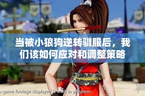 当被小狼狗逆转驯服后，我们该如何应对和调整策略