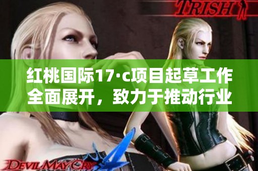 红桃国际17·c项目起草工作全面展开，致力于推动行业发展