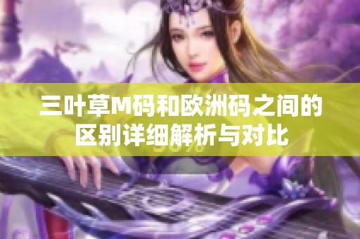 三叶草M码和欧洲码之间的区别详细解析与对比